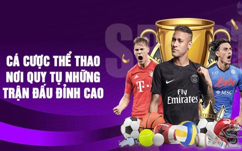 Những sảnh thể thao N666 nổi bật nhất